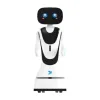 Product Introduction of the Welcoming Robot Intelligent Dialogue Item Picture